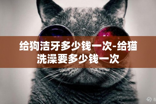 給狗潔牙多少錢一次-給貓洗澡要多少錢一次