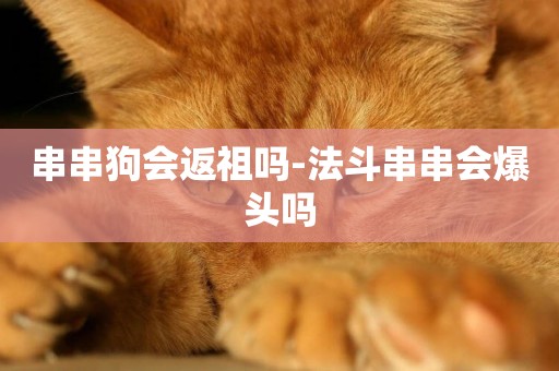 串串狗會返祖嗎-法斗串串會爆頭嗎