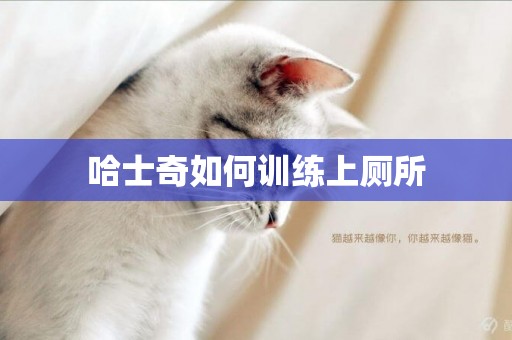 哈士奇如何訓練上廁所