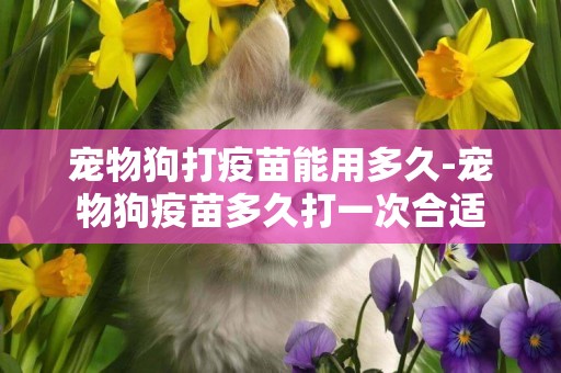 寵物狗打疫苗能用多久-寵物狗疫苗多久打一次合適