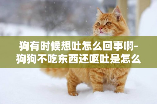 狗有時候想吐怎么回事啊-狗狗不吃東西還嘔吐是怎么回事