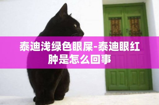 泰迪淺綠色眼屎-泰迪眼紅腫是怎么回事