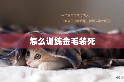 怎么訓練金毛裝死
