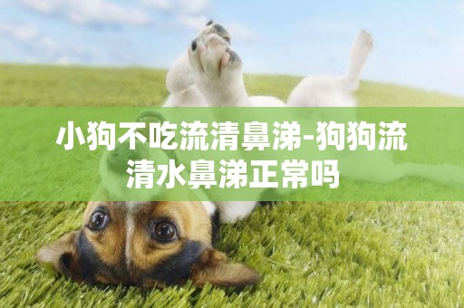 小狗不吃流清鼻涕-狗狗流清水鼻涕正常嗎