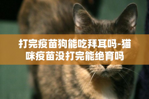 打完疫苗狗能吃拜耳嗎-貓咪疫苗沒打完能絕育嗎