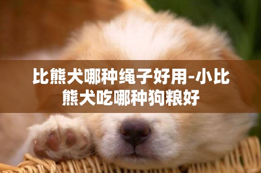 比熊犬哪種繩子好用-小比熊犬吃哪種狗糧好