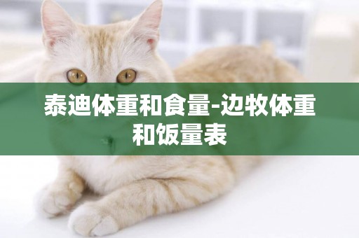 泰迪體重和食量-邊牧體重和飯量表