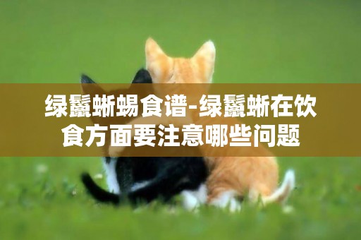 綠鬣蜥蜴食譜-綠鬣蜥在飲食方面要注意哪些問題