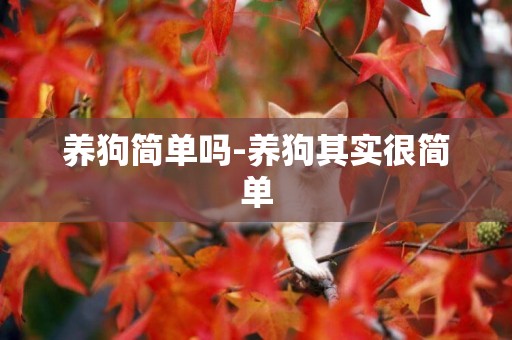 養狗簡單嗎-養狗其實很簡單
