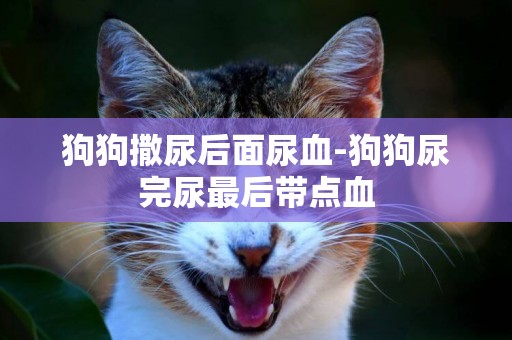狗狗撒尿后面尿血-狗狗尿完尿最后帶點血