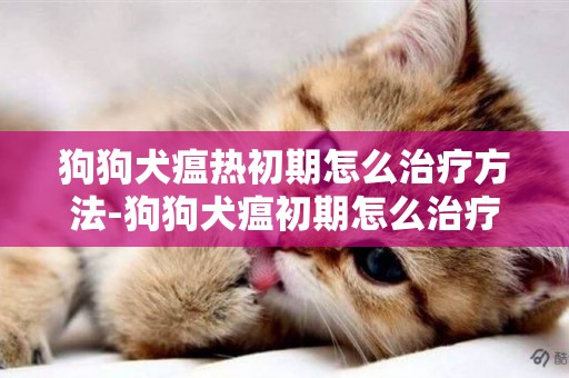 狗狗犬瘟熱初期怎么治療方法-狗狗犬瘟初期怎么治療