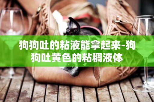 狗狗吐的粘液能拿起來-狗狗吐黃色的粘稠液體