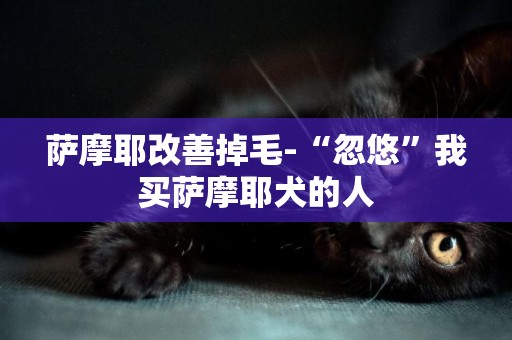 薩摩耶改善掉毛-“忽悠”我買薩摩耶犬的人