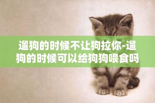遛狗的時候不讓狗拉你-遛狗的時候可以給狗狗喂食嗎