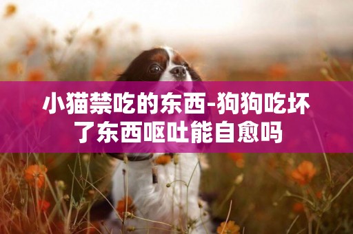 小貓禁吃的東西-狗狗吃壞了東西嘔吐能自愈嗎