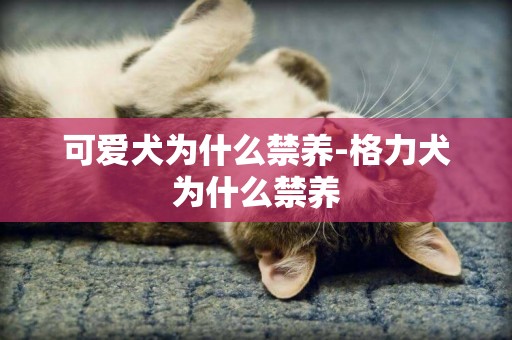 可愛犬為什么禁養-格力犬為什么禁養