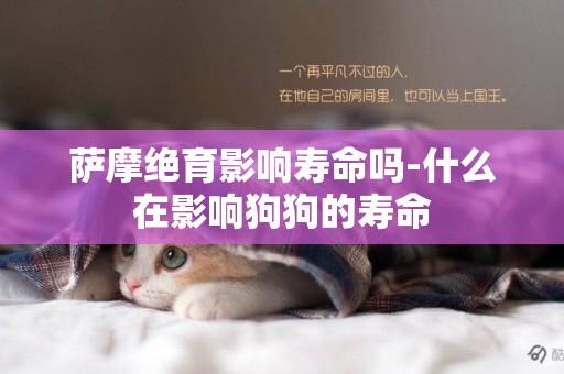 薩摩絕育影響壽命嗎-什么在影響狗狗的壽命