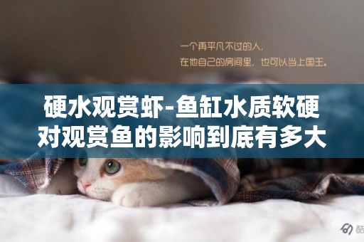 硬水觀賞蝦-魚缸水質軟硬對觀賞魚的影響到底有多大