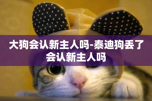 大狗會認新主人嗎-泰迪狗丟了會認新主人嗎