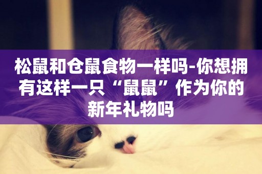 松鼠和倉鼠食物一樣嗎-你想擁有這樣一只“鼠鼠”作為你的新年禮物嗎
