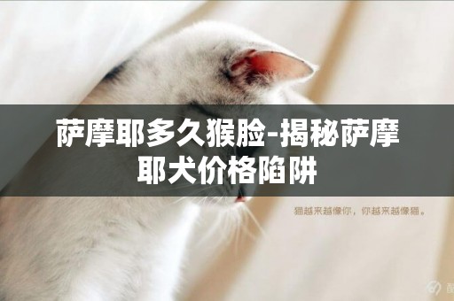 薩摩耶多久猴臉-揭秘薩摩耶犬價格陷阱