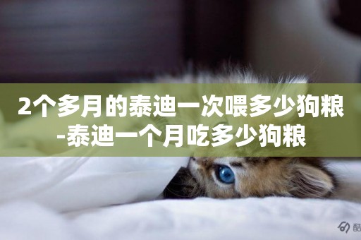 2個多月的泰迪一次喂多少狗糧-泰迪一個月吃多少狗糧