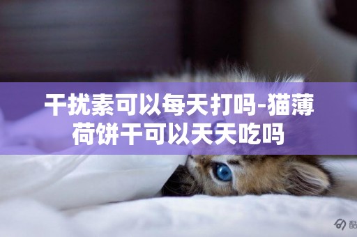 干擾素可以每天打嗎-貓薄荷餅干可以天天吃嗎