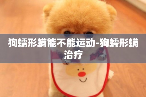 狗蠕形螨能不能運動-狗蠕形螨治療