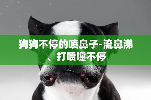 狗狗不停的噴鼻子-流鼻涕、打噴嚏不停