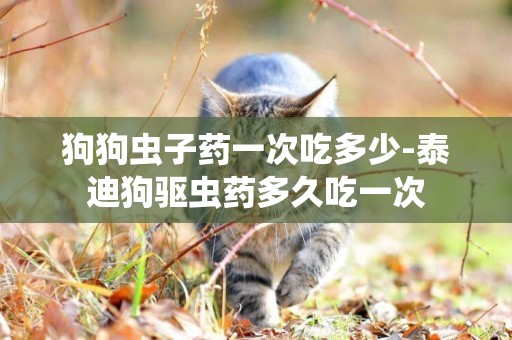 狗狗蟲子藥一次吃多少-泰迪狗驅蟲藥多久吃一次