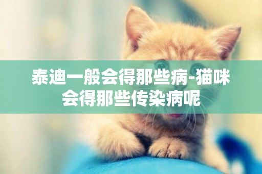 泰迪一般會得那些病-貓咪會得那些傳染病呢
