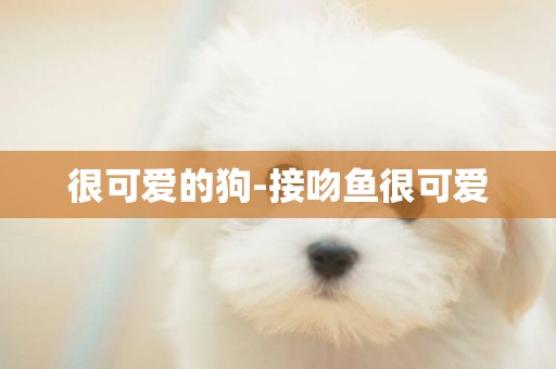 很可愛的狗-接吻魚很可愛