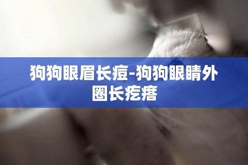 狗狗眼眉長痘-狗狗眼睛外圈長疙瘩
