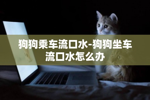狗狗乘車流口水-狗狗坐車流口水怎么辦