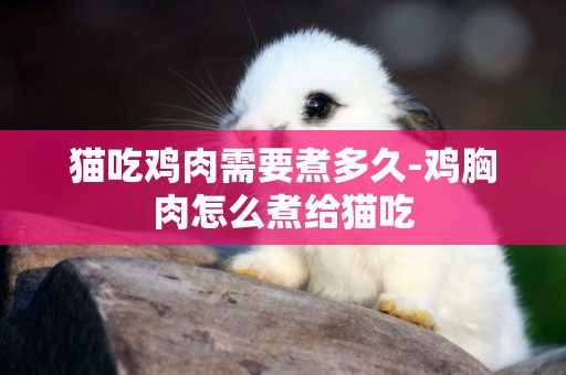 貓吃雞肉需要煮多久-雞胸肉怎么煮給貓吃
