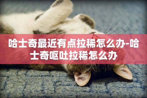 哈士奇最近有點拉稀怎么辦-哈士奇嘔吐拉稀怎么辦