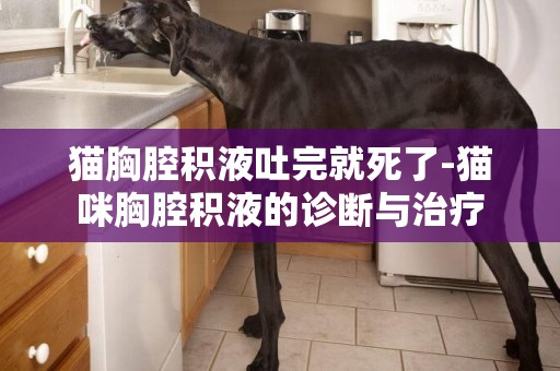 貓胸腔積液吐完就死了-貓咪胸腔積液的診斷與治療