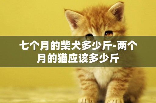 七個月的柴犬多少斤-兩個月的貓應該多少斤