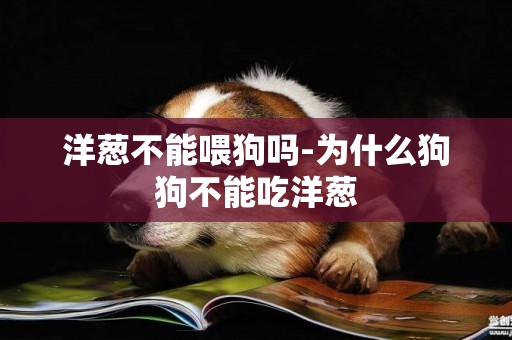 洋蔥不能喂狗嗎-為什么狗狗不能吃洋蔥