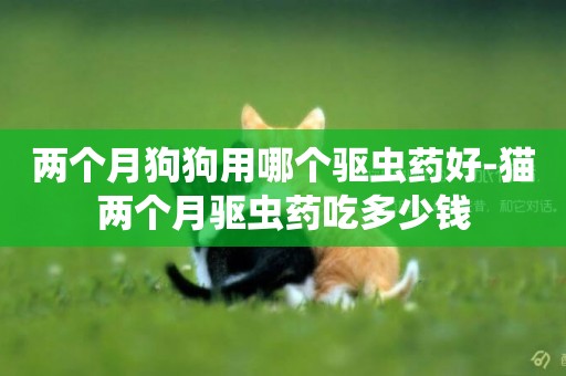 兩個月狗狗用哪個驅蟲藥好-貓兩個月驅蟲藥吃多少錢