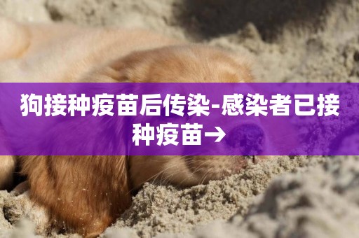 狗接種疫苗后傳染-感染者已接種疫苗→