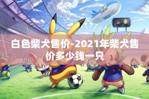 白色柴犬售價-2021年柴犬售價多少錢一只