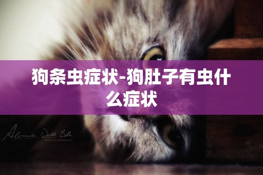 狗條蟲癥狀-狗肚子有蟲什么癥狀