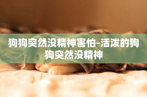 狗狗突然沒精神害怕-活潑的狗狗突然沒精神
