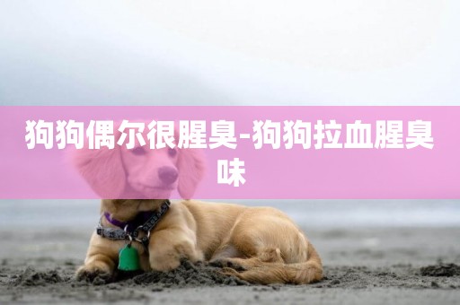 狗狗偶爾很腥臭-狗狗拉血腥臭味