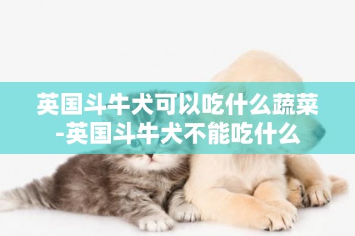 英國斗牛犬可以吃什么蔬菜-英國斗牛犬不能吃什么