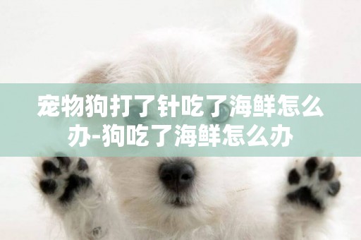 寵物狗打了針吃了海鮮怎么辦-狗吃了海鮮怎么辦