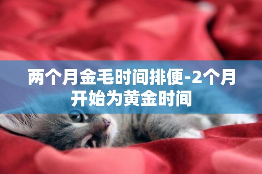 兩個月金毛時間排便-2個月開始為黃金時間