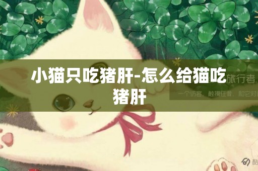小貓只吃豬肝-怎么給貓吃豬肝