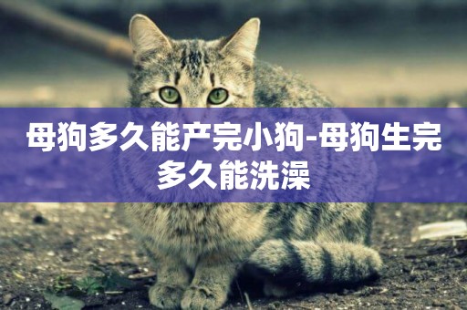 母狗多久能產完小狗-母狗生完多久能洗澡